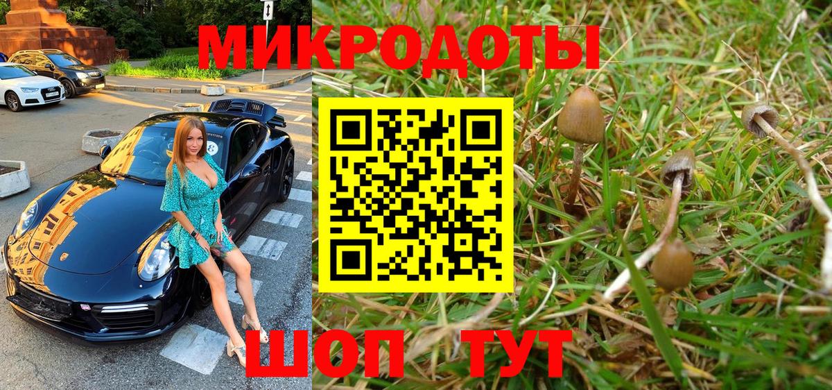 Мелеуз  Галлюциногенные грибы мухоморы  Вход с VPN 