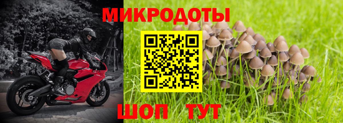 Псилоцибиновые грибы GOLDEN TEACHER Мелеуз